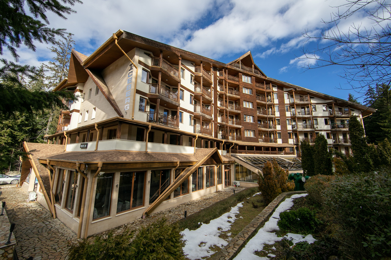 ICEBERG BOROVETS