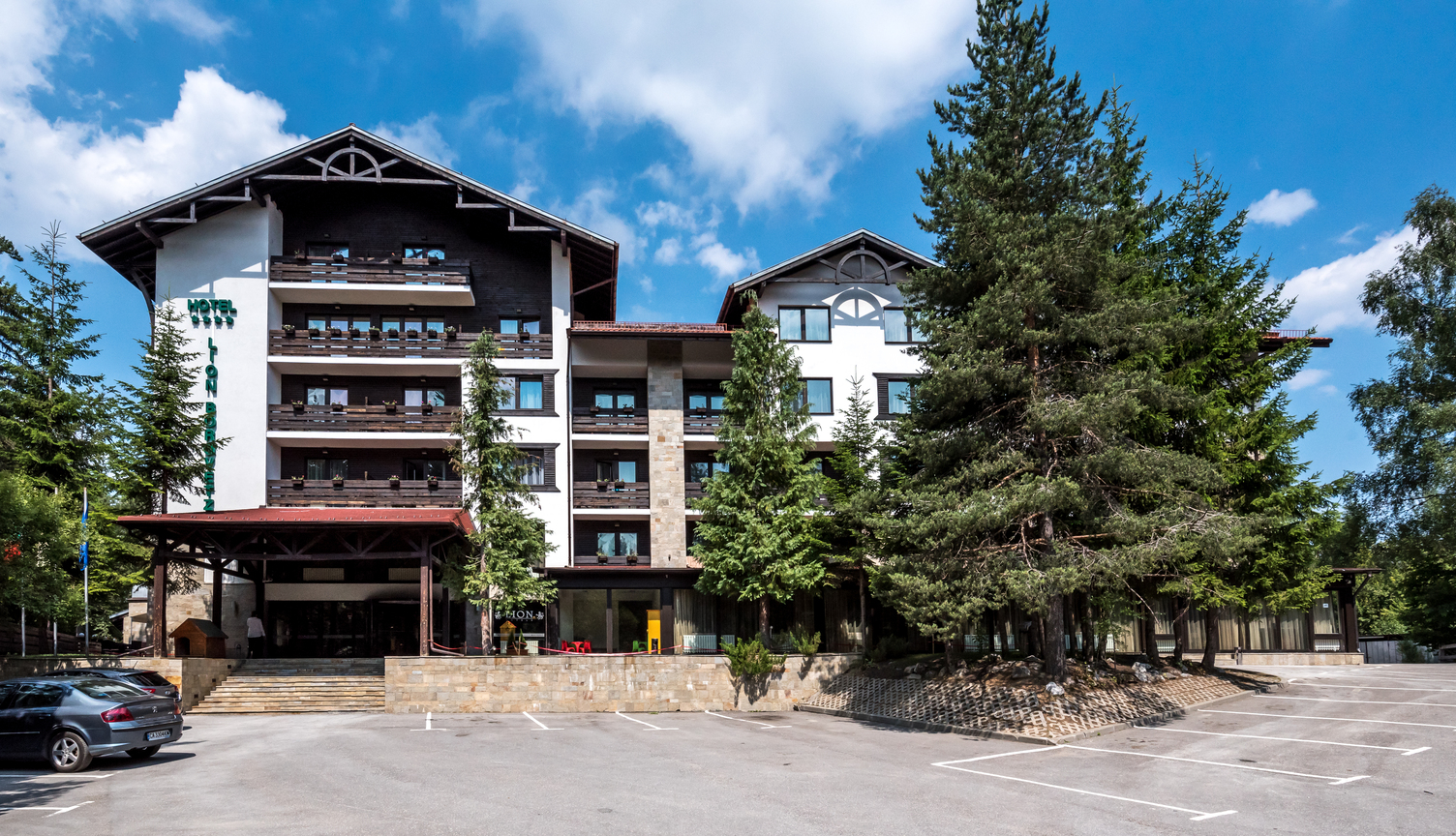 LION BOROVETS